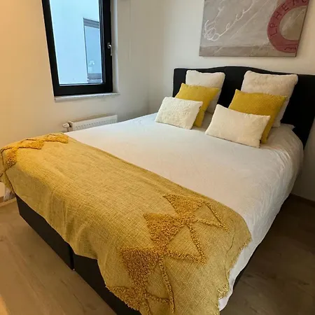 Διαμέρισμα Viki's Penthousje Blankenberge