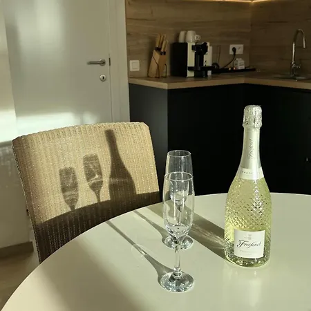 Viki's Penthousje Apartamento *
